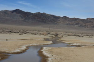 Scenic view of Cross Playa Rivulet Pond 2022-01-18, #08, with Indian Head Peak in distance; lacks fairy shrimp; Stillwater BLM Office