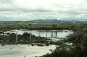 Scenic view of Fence Bend Pond 1993-06-03, #0407; has fairy shrimp; Rawlins BLM Office