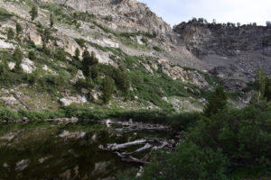 Scenic view of Log Jam Pond 2022-07-15, #14; lacks fairy shrimp; Ruby Mountains Ranger District, Humboldt-Toiyabe National Forest, Ruby Mountains Wilderness width=