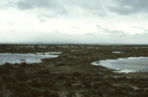 Scenic view of Long Pond 1993-06-03, #0419; has fairy shrimp; Rawlins BLM Office