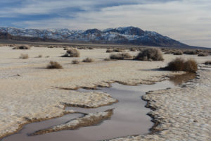 Scenic view of Luning Playa Narrow Pond 2022-01-14, #02, with Pilot Mountains in distance; has fairy shrimp; Stillwater BLM Office