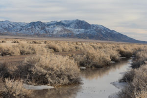 Scenic view of Luning Playa RR Grade Pond 2022-01-14, #06, with Pilot Mountains in distance; lacks fairy shrimp; Stillwater BLM Office