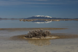 Scenic view of Main Smith Creek Playa Lake 2019-03-19, #02, with New Pass Range in distance; lacks fairy shrimp; Mount Lewis BLM Office