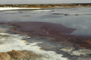 Scenic view of Mud Springs Pond #1 1988-06-05, #0111; has fairy shrimp; Lander BLM Office