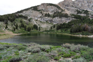 Scenic view of "North Furlong Lake" 2022-07-15, #07; lacks fairy shrimp; Ruby Mountains Ranger District, Humboldt-Toiyabe National Forest, Ruby Mountains Wilderness