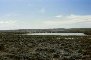 Scenic view of North "Scotty Lake" West Pond 1987-06-28, #2703; has fairy shrimp; State of Wyoming