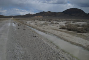 Scenic view of North Smith Creek Playa Channel Ponds 2013-03-30, #11, with Iron Mountain in distance; has fairy shrimp; Mount Lewis BLM Office