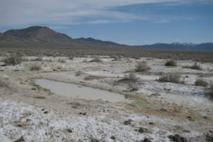 Scenic view of North Smith Creek Playa Channel Ponds 2013-04-21, #16, with Shoshone Range in distance; has fairy shrimp; Mount Lewis BLM Office