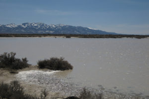 Scenic view of North Smith Creek Playa Lake 2013-03-17, #05, with Shoshone Range in distance; lacks fairy shrimp; Mount Lewis BLM Office