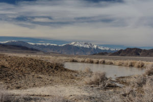 Scenic view of Paymaster Canyon Road Stock Pond 2022-01-18, #07, with Mt. Grant in distance; lacks fairy shrimp; Stillwater BLM Office