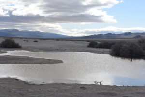 Scenic view of Playa Wire Gate Pond 2019-04-10, #04, with Gabbs Valley Range in distance; has fairy shrimp; Stillwater BLM Office