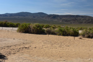 Scenic view of Playa Wire Gate Pond 2019-05-18, #05, with Garfield Hills in distance; dry; Stillwater BLM Office