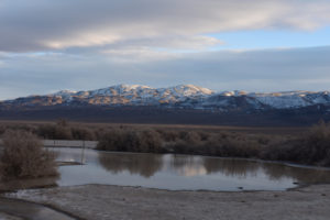 Scenic view of Playa Wire Gate Pond 2022-01-18, #10, with Mable Mountain in Garfield Hills in distance; has fairy shrimp; Stillwater BLM Office