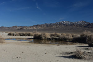 Scenic view of Playa Wire Gate Pond 2022-03-14, #16, with Garfield Hills in distance; has fairy shrimp; Stillwater BLM Office