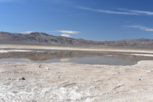 Scenic view of Rhodes Big Lake 2021-04-07, #10, with Candelaria Hills in distance; has fairy shrimp; Stillwater BLM Office and private land