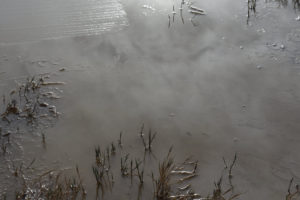 Pond view of Rhodes Grassy Pools 2021-04-07, #01, with caddisfly larva and ice; lacks fairy shrimp; Stillwater BLM Office