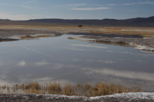 Scenic view of Rhodes Grassy Pools 2021-04-07, #02; lacks fairy shrimp; Stillwater BLM Office