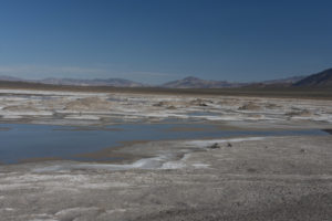 Scenic view of Rhodes Potholes 2021-04-07, #03, with Gabbs Valley Range in distance; has fairy shrimp; Stillwater BLM Office and private land