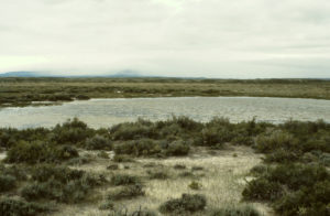 Scenic view of Screeching Avocets Pond 1993-06-03, #0417; has fairy shrimp; Rawlins BLM Office