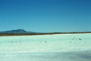 Scenic view of Separation Rim "Soda Lake" 1993-06-13, #0520, with avocets; has fairy shrimp; Rawlins BLM Office