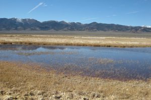 Scenic view of Smith Creek Cold Springs Ponds 2015-02-16, #11, with Desatoya Mountains in distance; has fairy shrimp; Mount Lewis BLM Office-