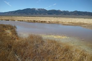 Scenic view of Smith Creek Cold Springs Ponds 2015-02-16, #13, with Desatoya Mountains in distance; has fairy shrimp; Mount Lewis BLM Office