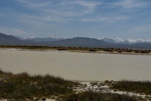 Scenic view of Smith Creek Cold Springs Ponds 2018-04-24, #01, with Toiyabe Range in distance; has fairy shrimp; Mount Lewis BLM Office