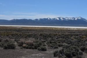 Scenic view of Smith Creek Cold Springs Ponds 2021-04-23, #01, with Shoshone Range in distance; has fairy shrimp; Mount Lewis BLM Office