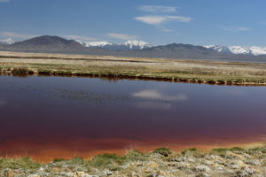 Scenic view of Smith Creek Cold Springs Ponds 2021-04-23, #03, with Toiyabe Range in distance; has fairy shrimp; Mount Lewis BLM Office