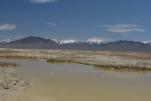 Scenic view of Smith Creek Cold Springs Ponds 2021-04-23, #04, with Toiyabe Range in distance; has fairy shrimp; Mount Lewis BLM Office