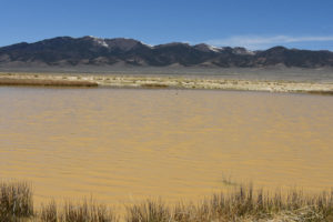 Scenic view of Smith Creek Cold Springs Ponds 2021-04-23, #08, with Desatoya Range in distance; has fairy shrimp; Mount Lewis BLM Office