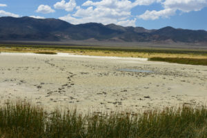 Scenic view of Smith Creek Cold Springs Ponds 2021-07-22, #10, with Desatoya Range in distance; lacks fairy shrimp; Mount Lewis BLM Office