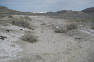 Scenic view of Smith Creek Ranch Road Long Ditch Ponds 2013-04-21, #15, with Toiyabe Range on horizon; dry; Mount Lewis BLM Office