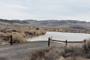 Scenic view of Stinking Springs Well Pond 2022-01-13, #05, with Blow Sand Mountains in distance; has fairy shrimp; Stillwater BLM Office