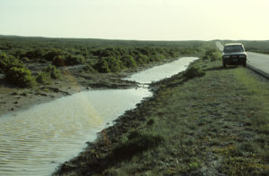 Scenic view of Sweetwater Mill Road Pond 1993-06-12, #0518; has fairy shrimp; Rawlins BLM Office