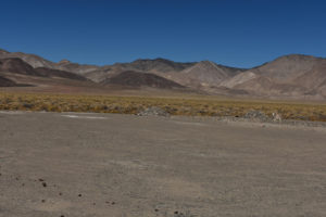 Scenic view of Teels North Well Site Pond 2018-10-15, #02, with Excelsior Mountains in distance; dry, with burro; Stillwater BLM Office