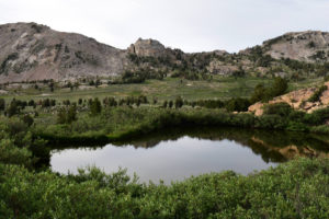 Scenic view of Toe of Talus Pond 2022-07-15, #13; lacks fairy shrimp; Ruby Mountains Ranger District, Humboldt-Toiyabe National Forest, Ruby Mountains Wilderness