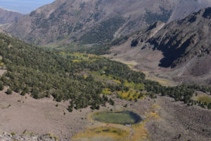 Scenic view of Upper South Fork Pine Creek Pond 2021-09-13, #05, with South Fork Pine Creek Canyon; lacks fairy shrimp; Tonopah Ranger District, Humboldt-Toiyabe National Forest, Alta Toquima Wilderness