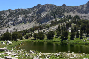 Scenic view of Watchful Beaver Pond 2022-07-14, #01; lacks fairy shrimp; Ruby Mountains Ranger District, Humboldt-Toiyabe National Forest, Ruby Mountains Wilderness