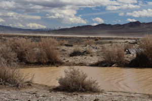 Scenic view of Wrecked Windmill Pond 2019-02-28, #02, with Pilot Mountains on horizon; has fairy shrimp; Stillwater BLM Office