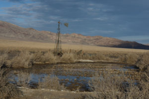 Scenic view of Wrecked Windmill Pond 2022-01-18, #09; lacks fairy shrimp; Stillwater BLM Office