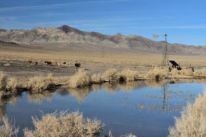 Scenic view of Wrecked Windmill Pond 2022-03-17, #21, with Indian Head Peak in distance; has fairy shrimp; Stillwater BLM Office