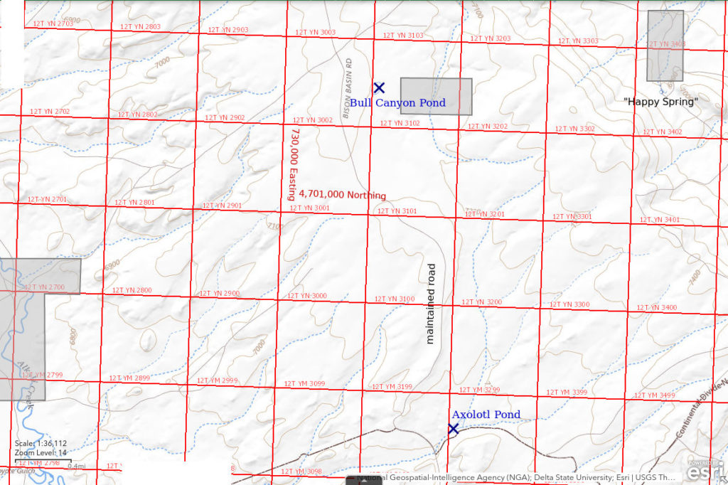 Topographic Map of Bull Canyon Pond and Axolotl Pond; The National Map with contours, roads, perennial/ephemeral water bodies, forest cover, marsh, UTM grid, private land