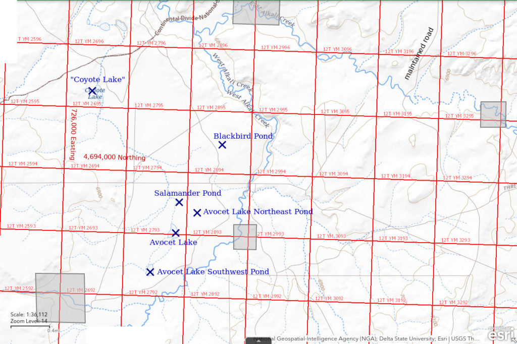 Topographic Map of "Coyote Lake" and Nearby Ponds; The National Map with contours, roads, perennial/ephemeral water bodies, forest cover, marsh, UTM grid, private land