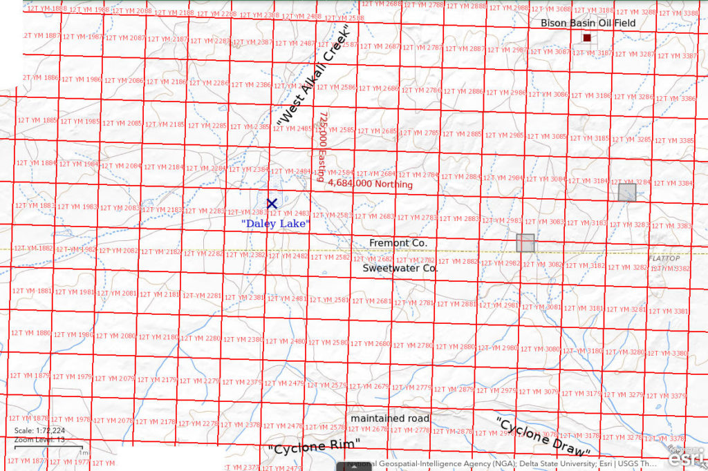 Topographic Map of "Daley Lake"; The National Map with contours, roads, perennial/ephemeral water bodies, forest cover, marsh, UTM grid, private land