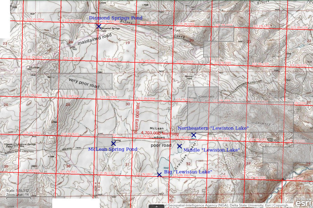 Topographic Map of "Lewiston Lakes" and and Nearby Ponds; The National Map with contours, roads, perennial/ephemeral water bodies, forest cover, marsh, UTM grid, private land