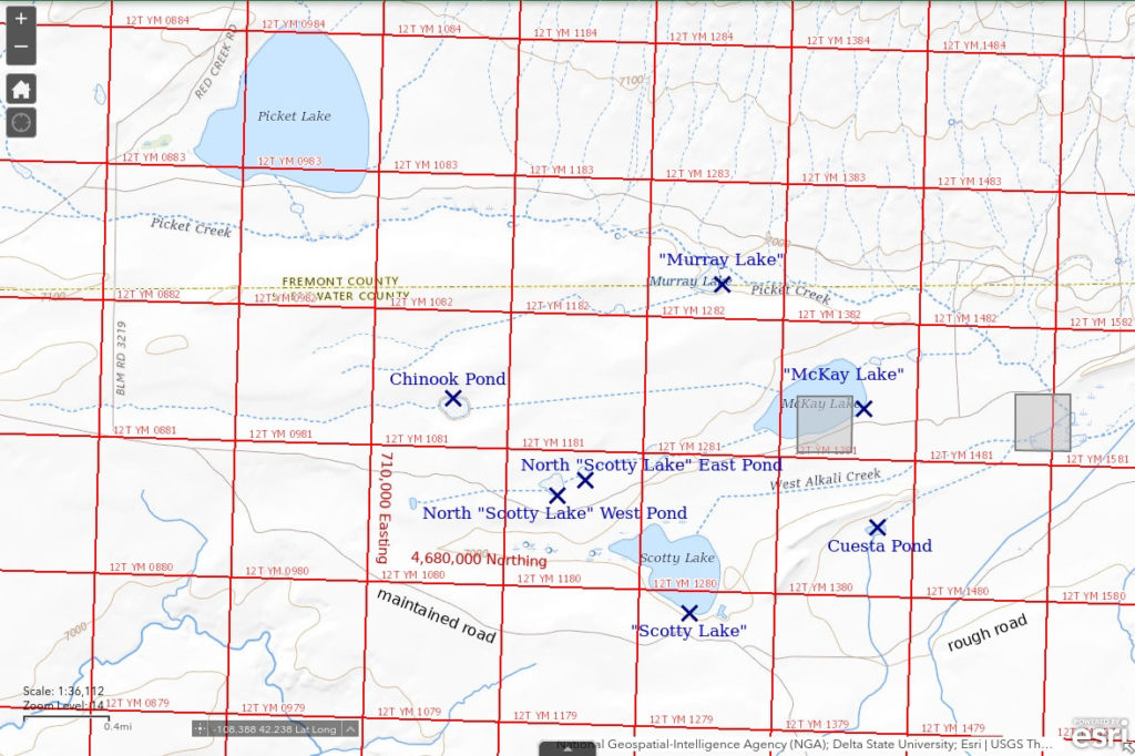 Topographic Map of "Scotty Lake" and nearby ponds; The National Map with contours, roads, perennial/ephemeral water bodies, forest cover, marsh, UTM grid, private land