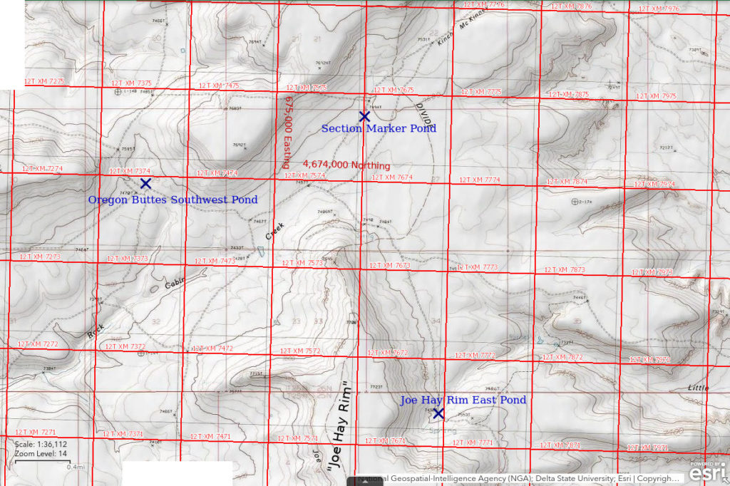 Topographic Map of Section Marker Pond and Nearby Ponds; The National Map with contours, roads, perennial/ephemeral water bodies, forest cover, marsh, UTM grid, private land