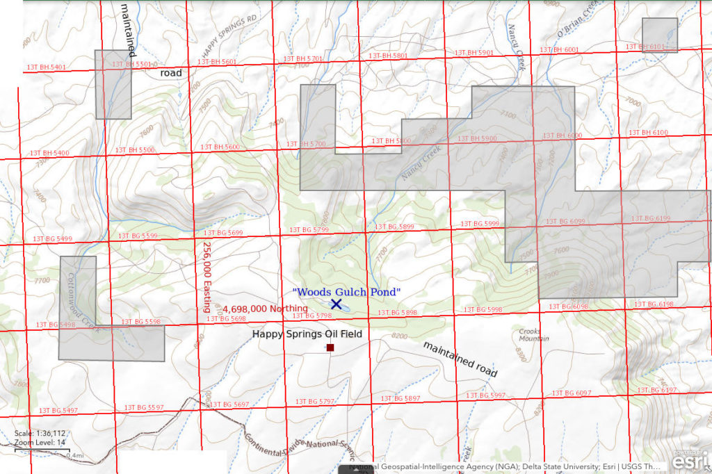 Topographic Map of "Woods Gulch Pond"; The National Map with contours, roads, perennial/ephemeral water bodies, forest cover, marsh, UTM grid, private land