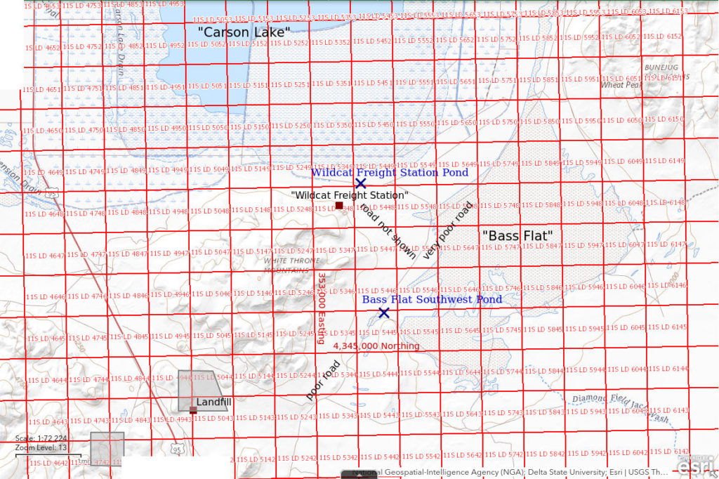 Topographic Map of Bass Flat Southwest Pond and Wildcat Freight Station Pond; The National Map with contours, roads, perennial/ephemeral water bodies, forest cover, marsh, UTM grid, private land